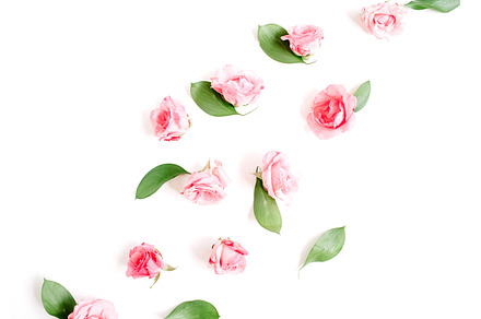 Roses featuring rose, buds, and greeting, a Holiday Photo by Floral Deco