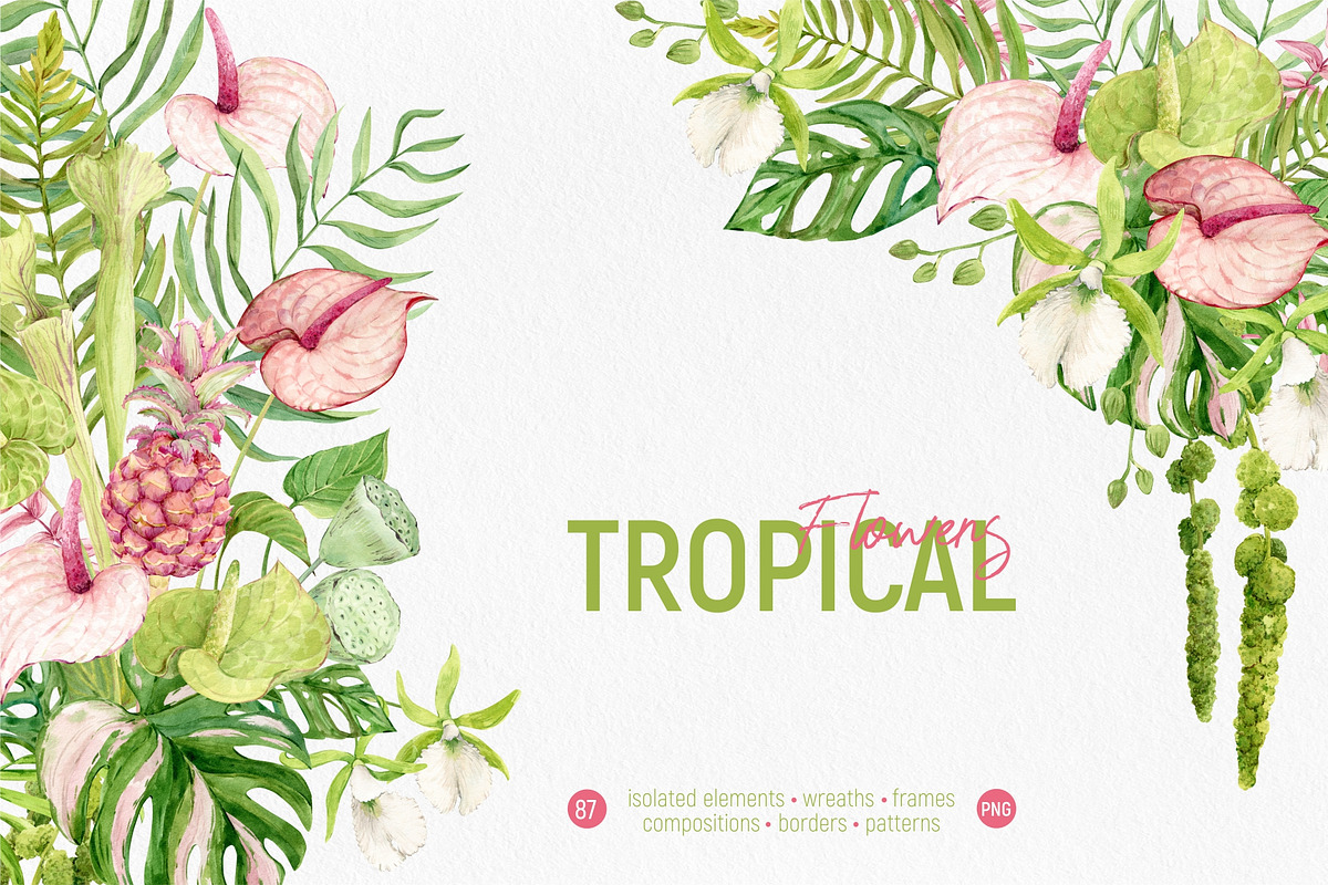 Tropical Flowers. Exotic flora set, an Illustration by Tata Pilip (Photo 1 of 21)