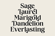 Raphen Madam - Classic Elegant Serif, a Serif Font by Pandeka Studio (Thumbnail 7 of 12)