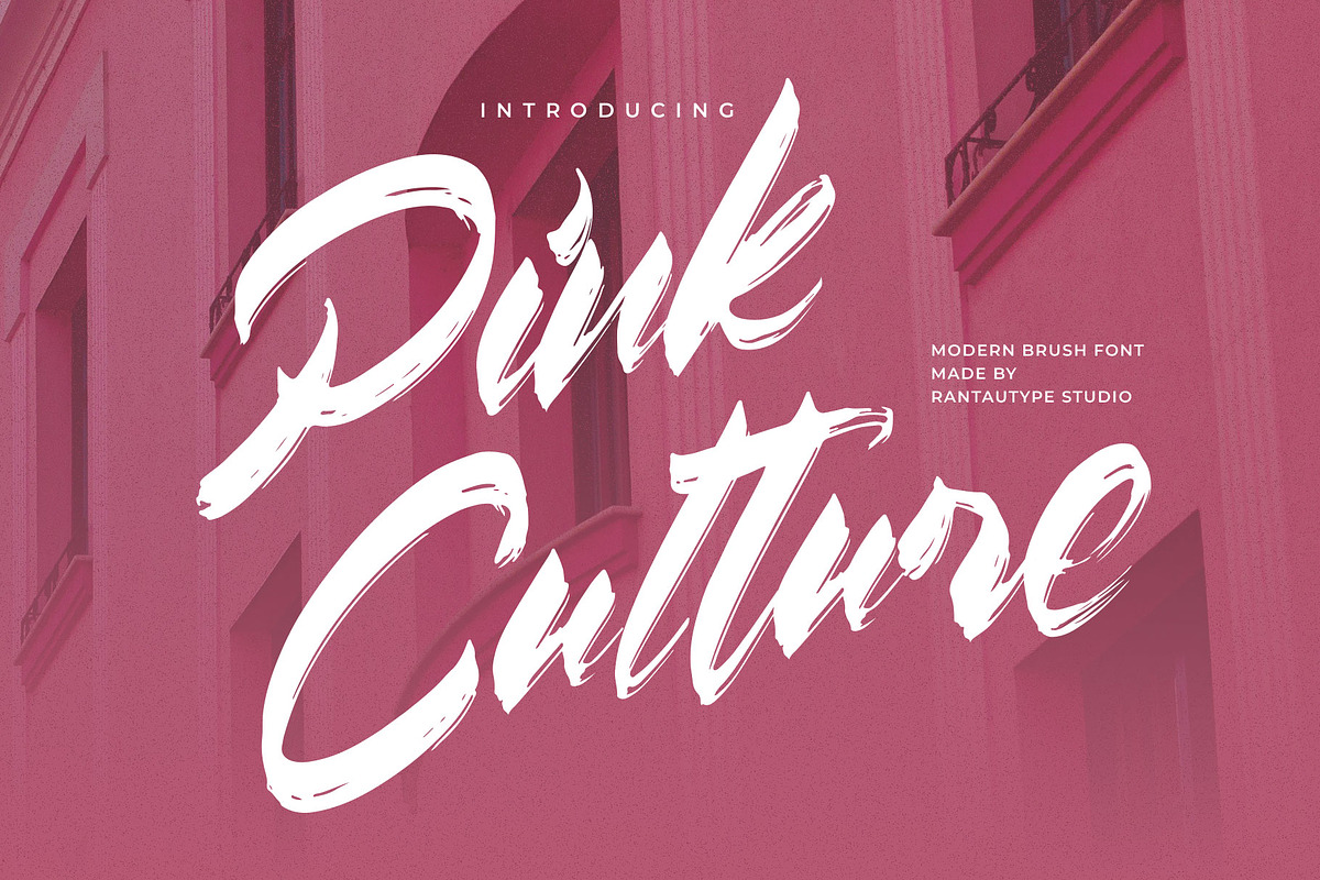 Pink Culture Modern Brush Font, a Script Font by RantautypeStudio (Photo 1 of 13)
