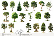 100 watercolour global tree clip art, a Seasonal Illustration by Poppy Lane Studio (Thumbnail 10 of 11)