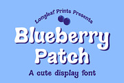 Blueberry Patch Handwritten Font, a Handwritten Font by longleafprints (Thumbnail 1 of 6)