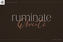 Ruminate & Obviate - modern font duo