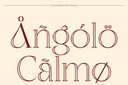CS Asena Stippled, a Serif Font by Craft Supply Co. (Thumbnail 7 of 8)