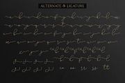 Adelya - Elegant Signature Font, a Script Font by Craft Supply Co. (Thumbnail 10 of 12)