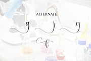 Chemistry | Script Font, a Handwritten Font by Scratchones (Thumbnail 8 of 9)