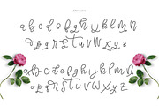 Bellinda Script (20% Discount), a Script Font by Thirtypath Studio (Thumbnail 6 of 8)