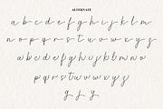 Softella Seraphine, a Script Font by Barra & Beryl Co. (Thumbnail 10 of 11)