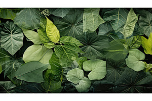 abstract collage organic background, an Abstract Photo by pikepicture
