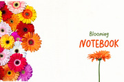 Smile - handwritten font, a Handwritten Font by Brown Cupple (Thumbnail 2 of 5)