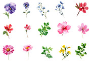 Watercolor Clipart  PRETTY HEALTH, an Illustration by Designworld (Thumbnail 2 of 4)