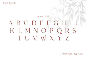 Lady Bloom Serif Font