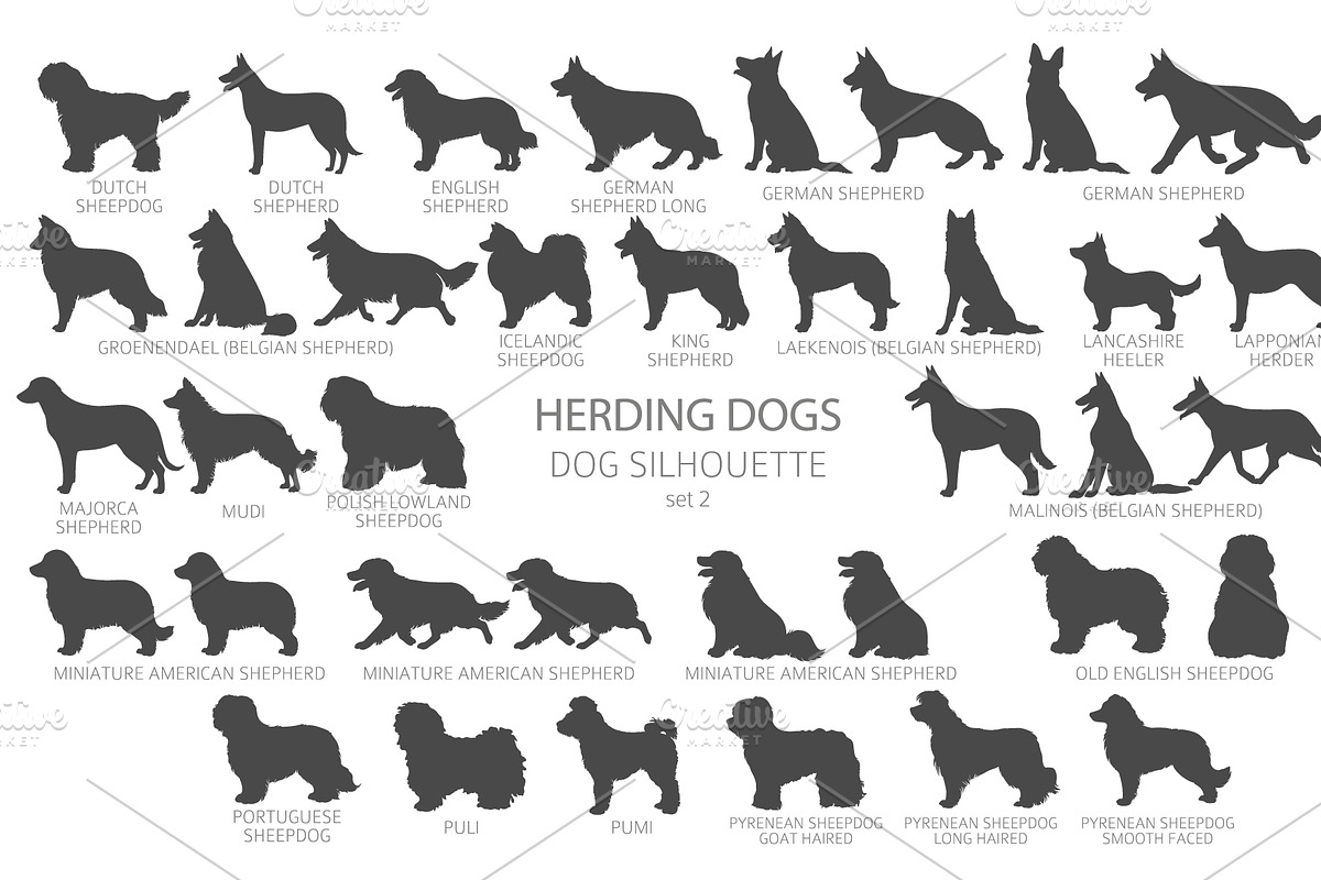 Herding dogs, Sheepdogs Silhouettes, an Animal Illustration by pet design shop (Photo 8 of 13)