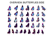 Wings & Butterfly(SVG, PNG Brushes), a Brush Add-On by xresch (Thumbnail 10 of 22)