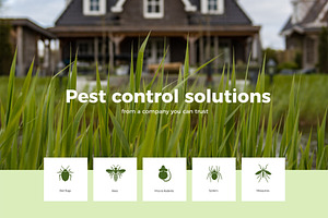 Pest Control Icon Set