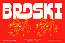 Broski - Contras Display Sans Font