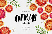 Font and Graphic Bundle | 80% off!, an Illustration by GraphicSupplyCo. (Thumbnail 2 of 35)