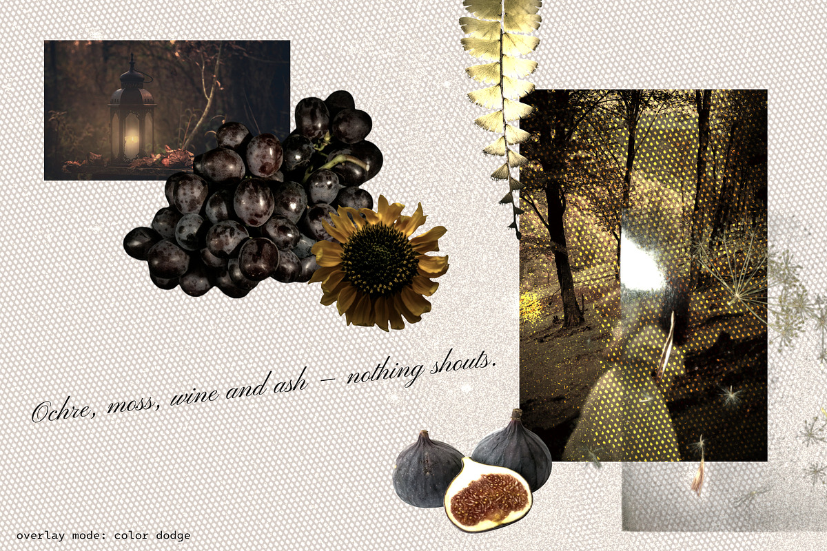 Moody Autumn Ephemera Collage Kit, an Object Graphic by Anzhelika (Photo 9 of 10)