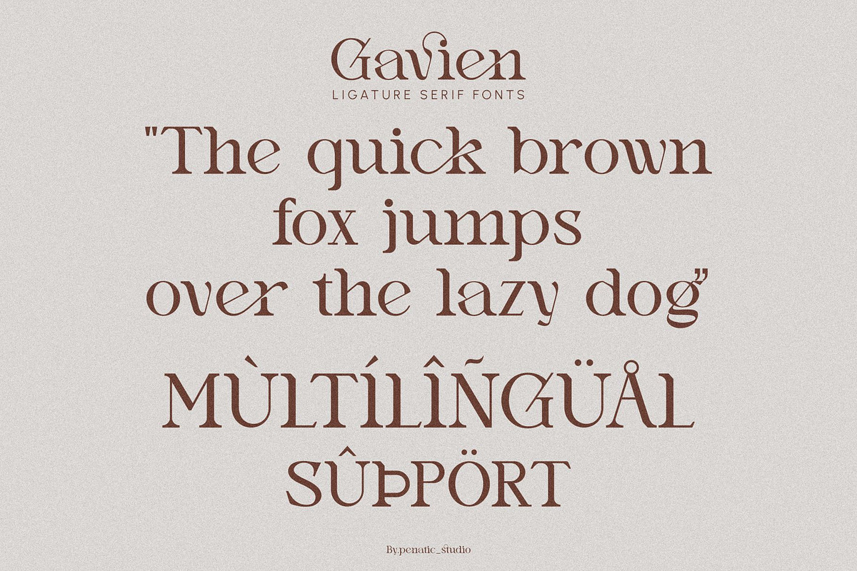 Gavien _ Ligature Serif Font, a Serif Font by Penatic Studio (Photo 10 of 10)