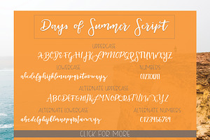 Days Of Summer Font Family