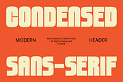 Vetrix - Bold Sans Serif Font, a Sans Serif Font by roomspace creative lab (Thumbnail 5 of 11)