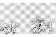 Hand Sketched Peonies, an Object Graphic by VictoriaKStudio (Thumbnail 7 of 9)
