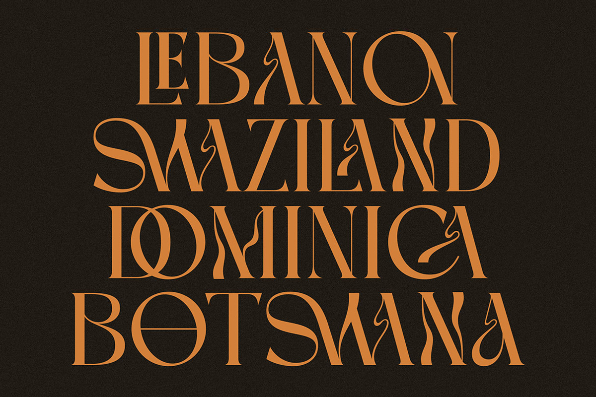 Delinoswa, a Serif Font by Cruzine (Photo 3 of 8)