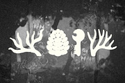 Mystic Nature: 100 Textured Symbols, an Object Illustration by Veyla (Thumbnail 10 of 14)