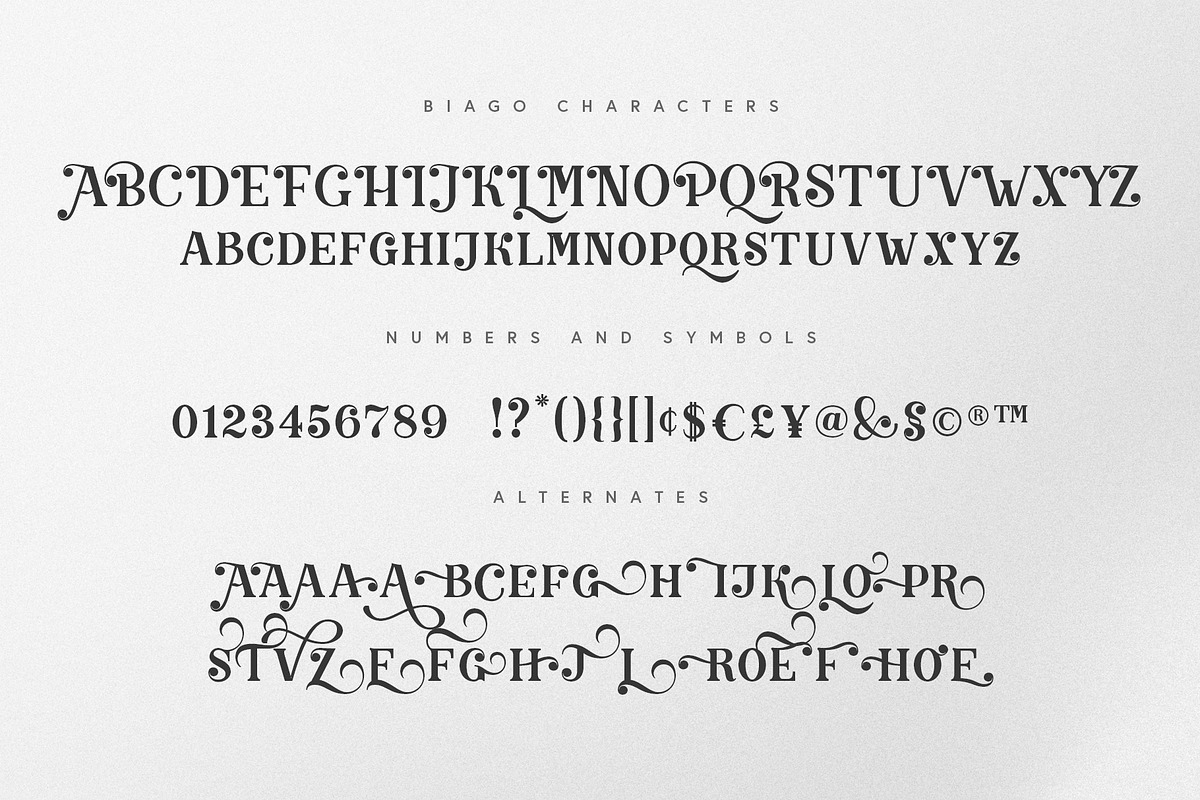 Biago Font + BONUS, a Sans Serif Font by Ivan Rosenberg (Photo 6 of 13)