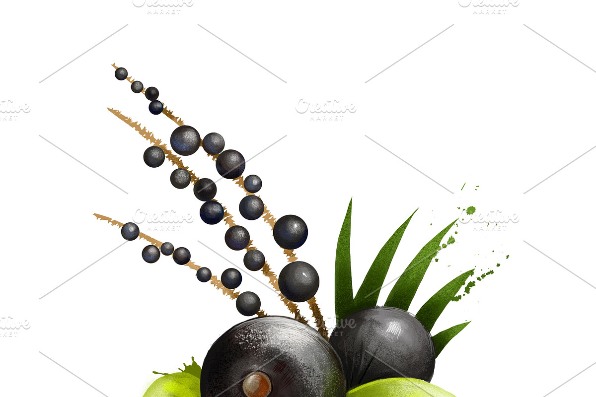Culinary fruits set part 1, an Object Graphic by Dneprstock (Photo 3 of 3)