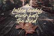 Besteam • A Brush Font, a Blackletter Font by azetypestudios.com (Thumbnail 6 of 11)