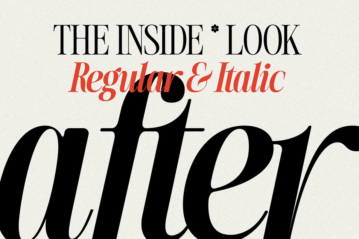 The Silver Editorial - 18 Fonts Pack, a Serif Font by SilverStag Type Foundry (Photo 8 of 30)