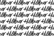 Hillbear - Handbrush Script Font, a Script Font by StringLabs (Thumbnail 5 of 7)