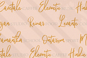 Pandertoos - Handbrush Signature, a Script Font by tebaltipislab (Thumbnail 2 of 11)