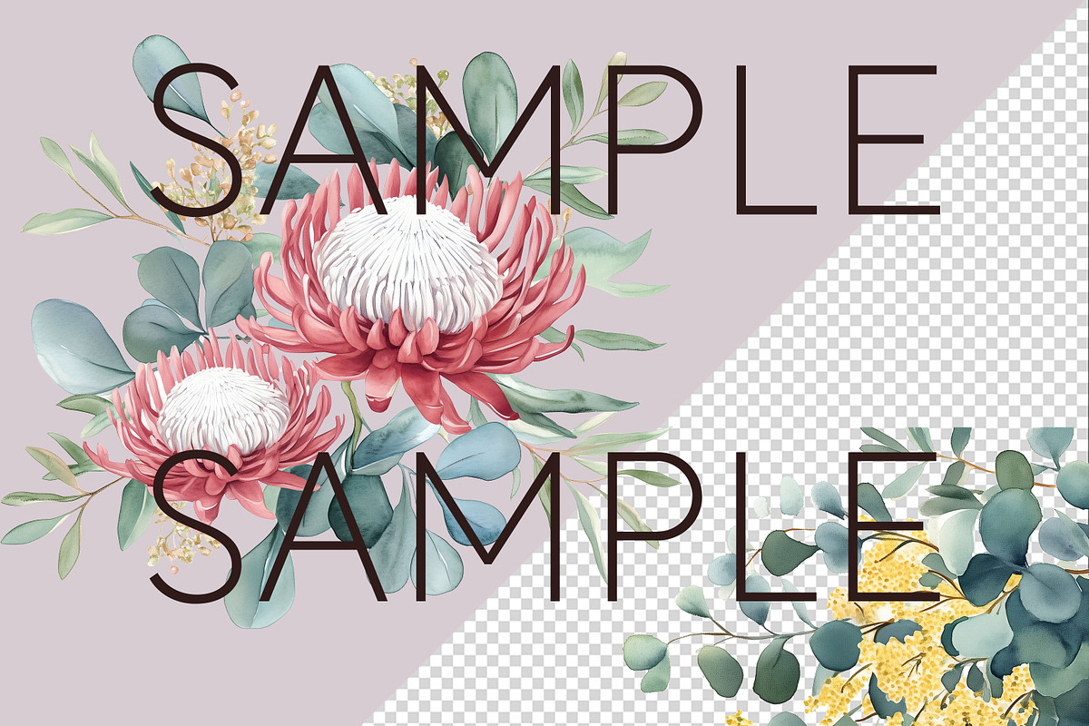 Australian Watercolur Flowers Mega, a Decorative Illustration by Pawcasso's Portraits (Photo 6 of 10)