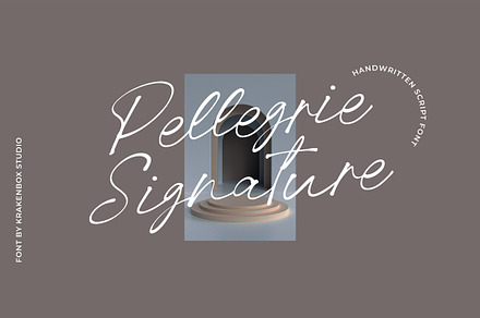 Pellegrie Signature - Script
