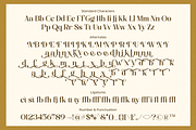 Dactine Classic Beauty Serif, a Serif Font by Portocraft (Thumbnail 9 of 10)