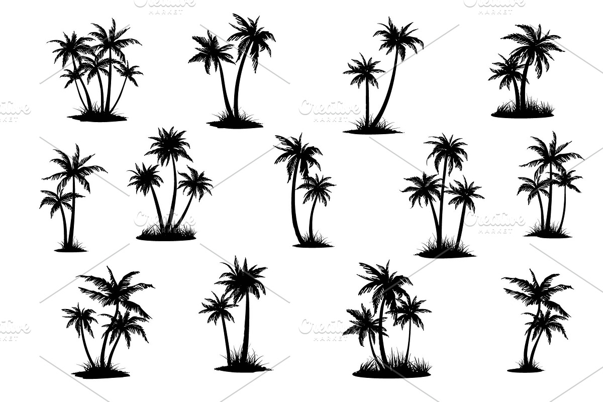 Large set of palm trees. 52 designs., a Decorative Illustration by VetaDesign (Photo 3 of 4)