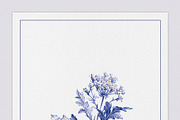 Botanical illustration of a wild carrot flowering plant drawing, an Illustration by Studio ANNA (Thumbnail 2 of 2)