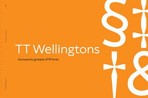 TT Wellingtons