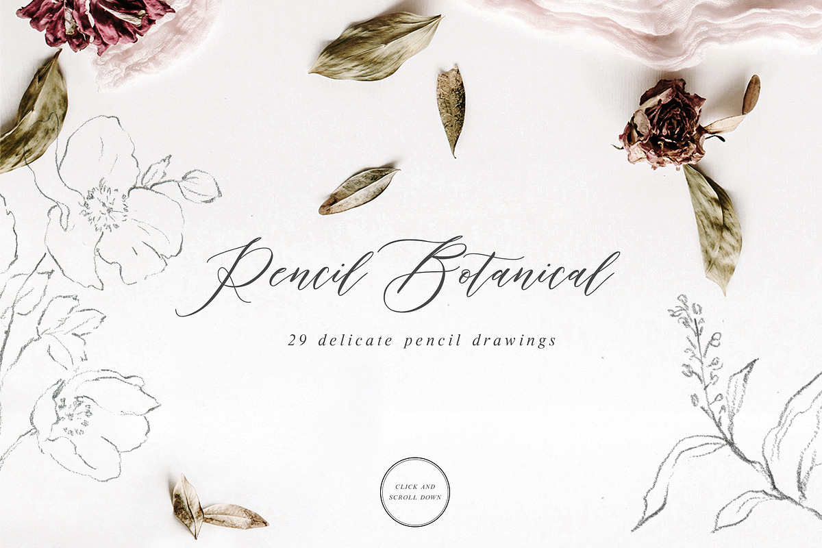 Whisper-Pencil Sketch Winter Set, an Animal Illustration by Graphic Box (Photo 11 of 12)
