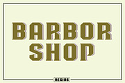 Regius Typeface, a Serif Font by Jan-Christian Bruun (Thumbnail 12 of 12)