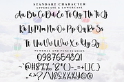 Holiday Amsterdam, a Handwritten Font by FreshTypeINK (Thumbnail 8 of 8)