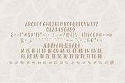 Leaves and Ground - SALE - 60% OFF, a Script Font by StereoType (Thumbnail 3 of 10)