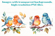 Cute Song Birds Watercolor Clipart, an Animal Illustration by Mermaids Cove (Thumbnail 5 of 9)
