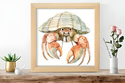 Watercolor Under the Sea Clipart, an Illustration by DreamCafeArt (Thumbnail 6 of 8)