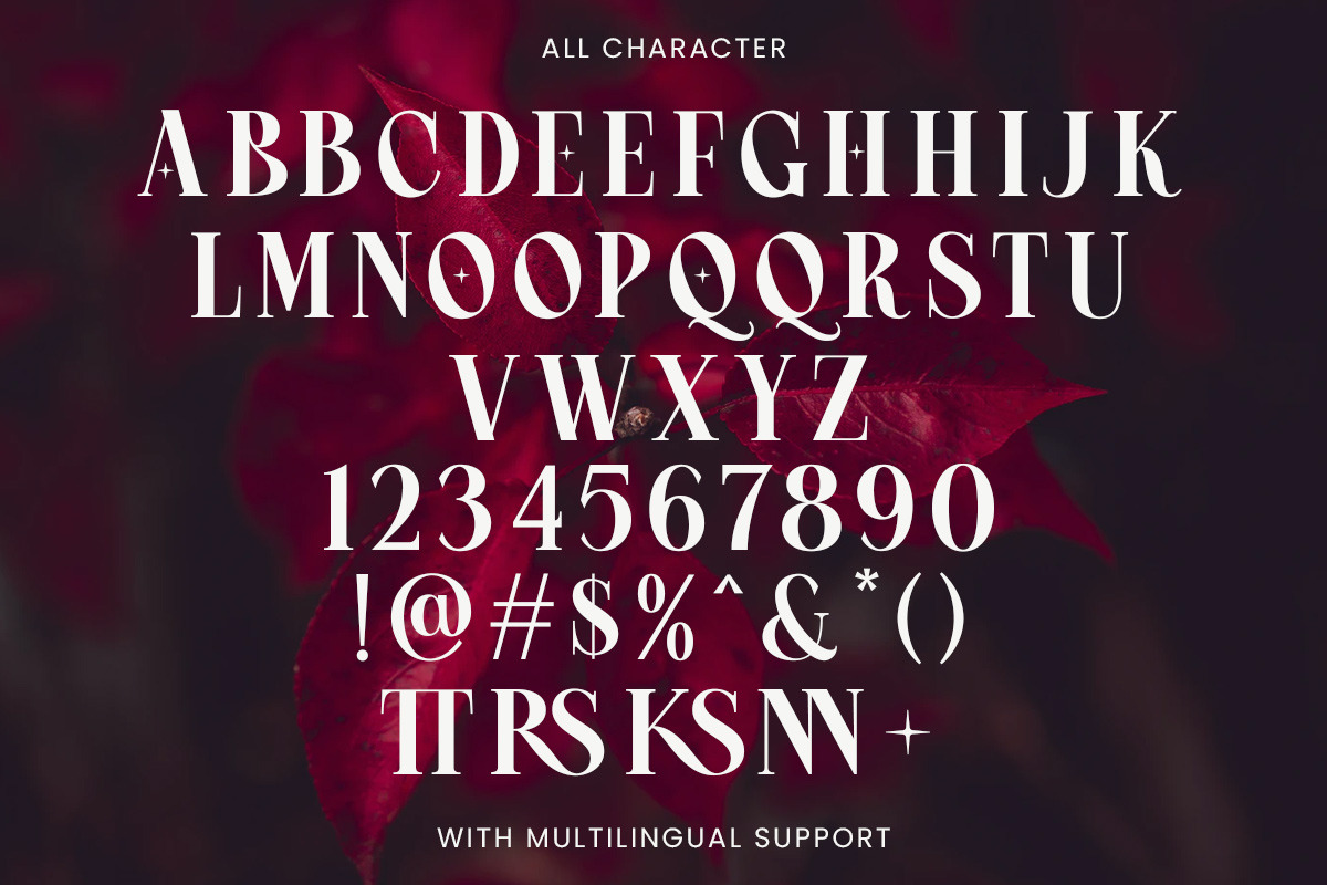 Crimson Queen - Modern Serif, a Serif Font by Rillatype (Photo 9 of 9)
