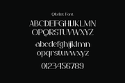 Qitelist - Elegant Serif Font, a Serif Font by Iqsiart Studio (Thumbnail 11 of 13)