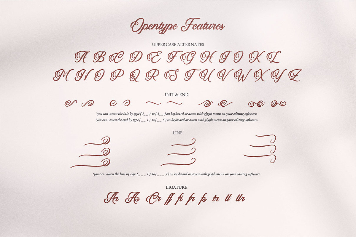 Tequilla Creature | Bold Calligraphy, a Script Font by Ariya Works (Photo 12 of 14)