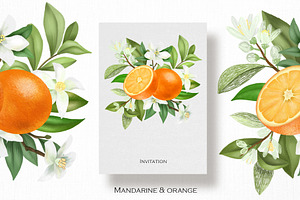 Mandarine & Orange